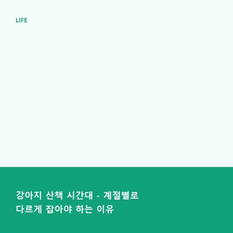 강아지 산책 시간대 – 계절별로 다르게 잡아야 하는 이유