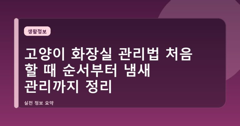 고양이 화장실 관리법 처음 할 때 순서부터 냄새 관리까지 정리