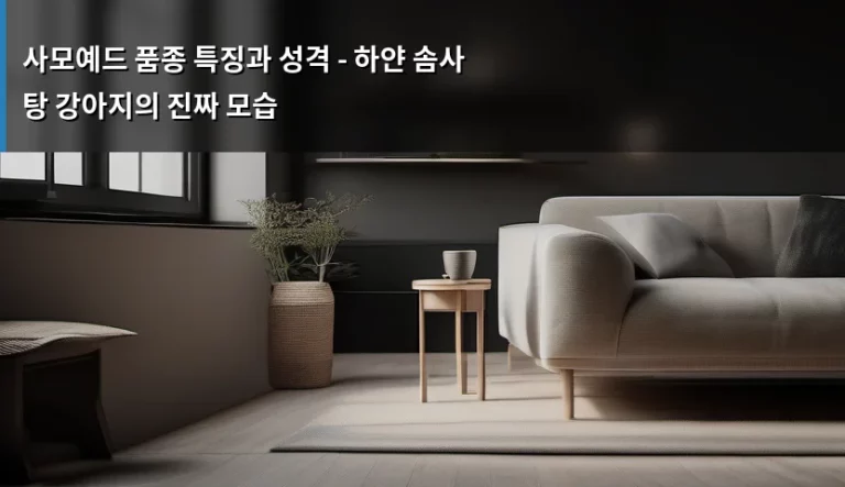 사모예드 품종 특징과 성격 – 하얀 솜사탕 강아지의 진짜 모습