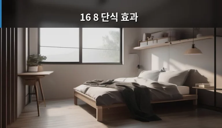16 8 단식 효과와 올바른 실천 방법