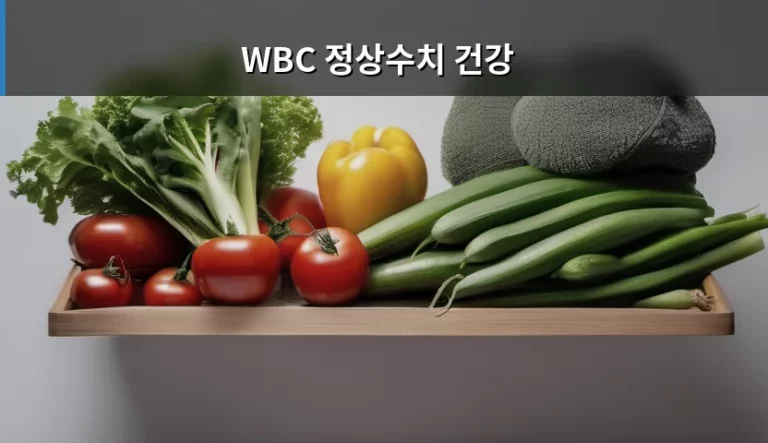 WBC 정상수치 건강 관리와 백혈구 수치 의미