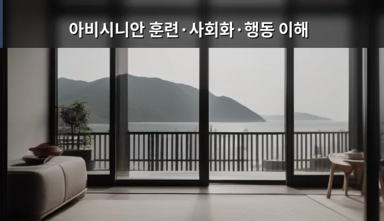 아비시니안 훈련·사회화·행동 이해 가이드