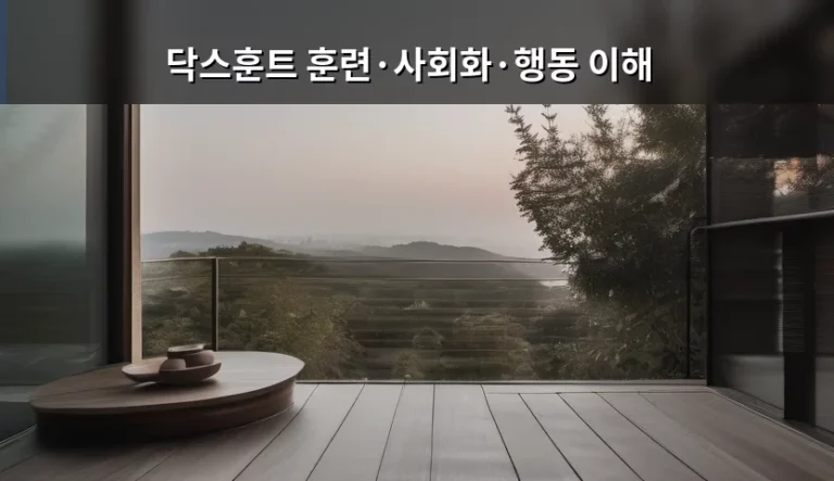 닥스훈트 훈련·사회화·행동 이해 가이드