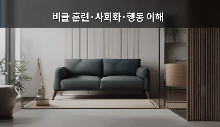 비글 훈련과 사회화 및 행동 이해 가이드