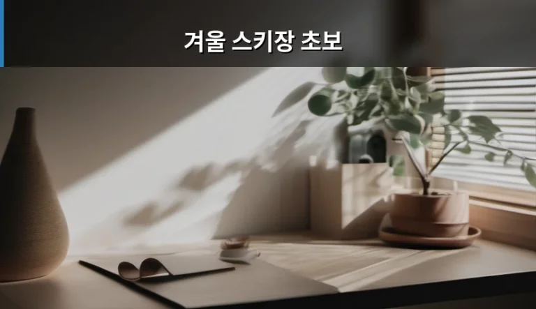 겨울 스키장 초보 준비물 및 이용 가이드