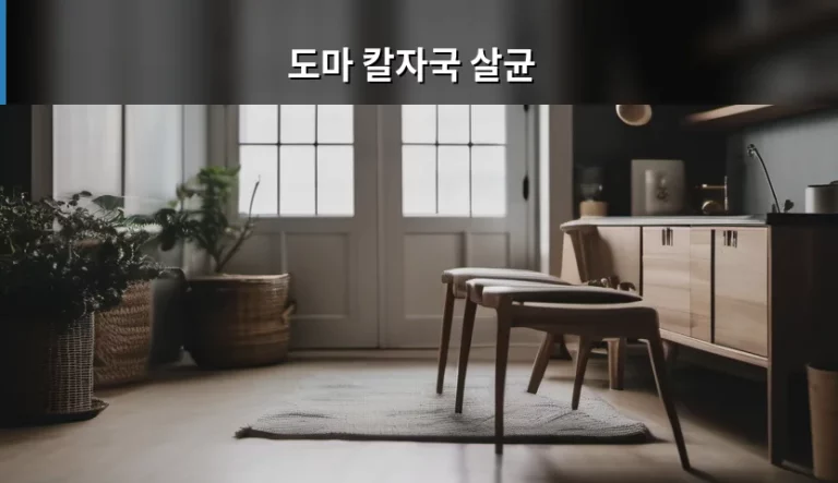 도마 칼자국 살균 관리 방법과 소재별 세척 가이드