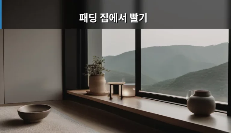 패딩 집에서 빨기 방법과 주의사항 총정리