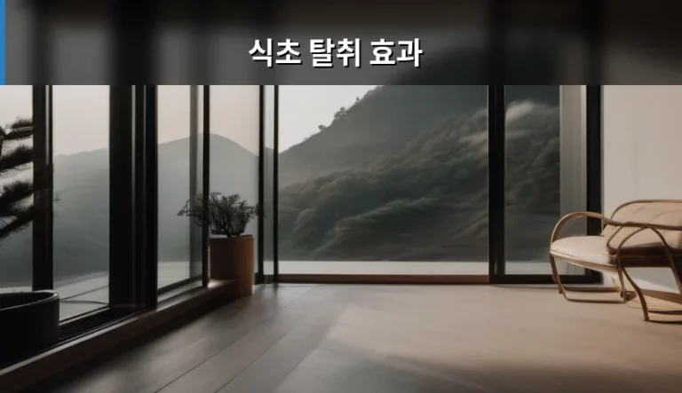 식초 탈취 효과 활용법과 주의사항 정리