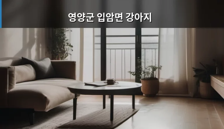 영양군 입암면 강아지 돌봄과 산책 팁