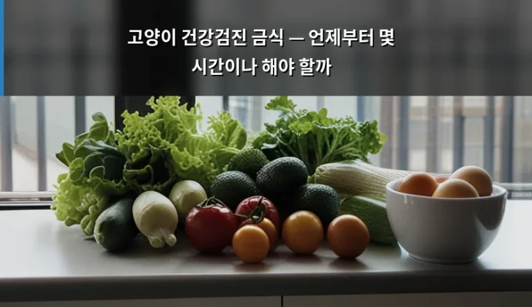 고양이 건강검진 금식 — 언제부터 몇 시간이나 해야 할까