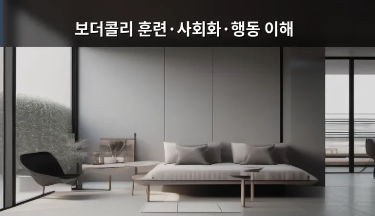 보더콜리 훈련·사회화·행동 이해를 위한 가이드