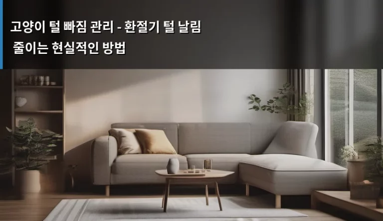 고양이 털 빠짐 관리 – 환절기 털 날림 줄이는 현실적인 방법