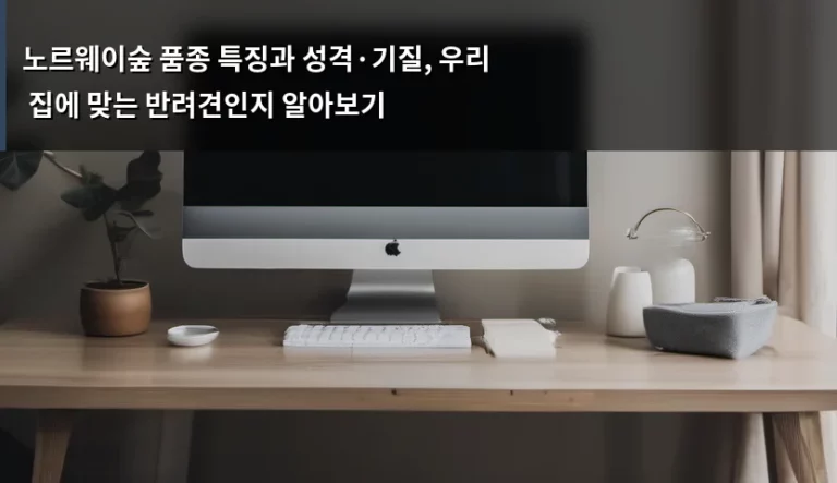 노르웨이숲 품종 특징과 성격·기질, 우리 집에 맞는 반려견인지 알아보기