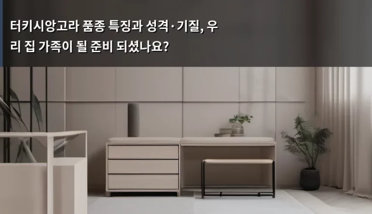 터키시앙고라 품종 특징과 성격·기질, 우리 집 가족이 될 준비 되셨나요?