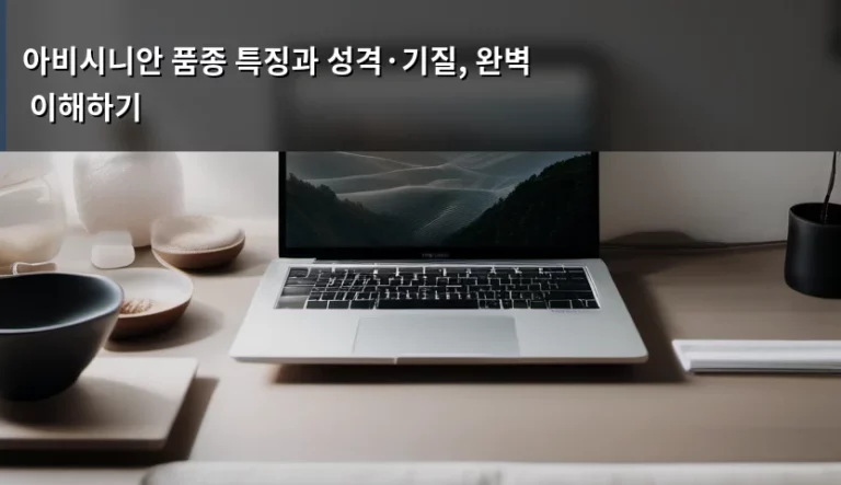 아비시니안 품종 특징과 성격·기질, 완벽 이해하기