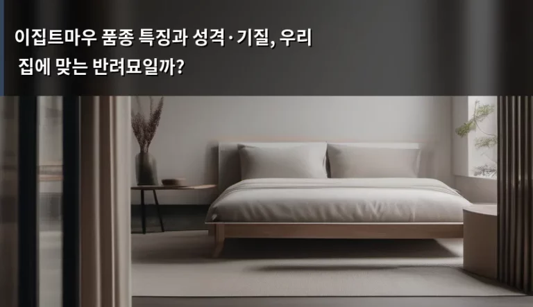이집트마우 품종 특징과 성격·기질, 우리 집에 맞는 반려묘일까?