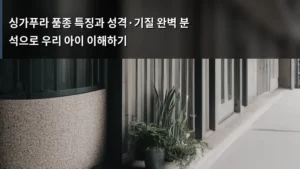싱가푸라 품종 특징과 성격·기질 완벽 분석으로 우리 아이 이해하기