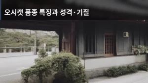 오시캣 품종 특징과 성격·기질, 우리 가족에게 맞는 친구 찾기