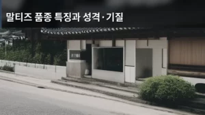말티즈 품종 특징과 성격·기질 완벽 분석으로 우리 아이 이해하기