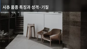 시츄 품종 특징과 성격·기질, 우리 가족으로 맞이할 준비 되셨나요?