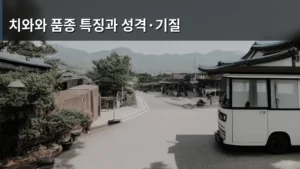 치와와 품종 특징과 성격·기질 완벽 분석으로 반려 생활 시작하기