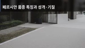 페르시안 품종 특징과 성격·기질 완벽 분석으로 우리 고양이와 친해지기
