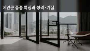 메인쿤 품종 특징과 성격·기질, 우리 가족으로 맞이할 준비 되셨나요?