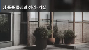 샴 품종 특징과 성격·기질 완벽 분석으로 우리 집 최고의 친구 맞이하기