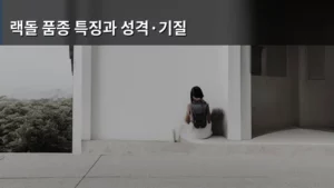 랙돌 품종 특징과 성격·기질, 우리 가족으로 맞이할 준비 되셨나요?