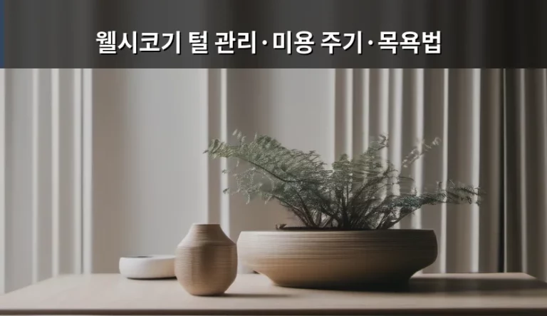 웰시코기 털 관리와 미용 주기 및 목욕법 가이드