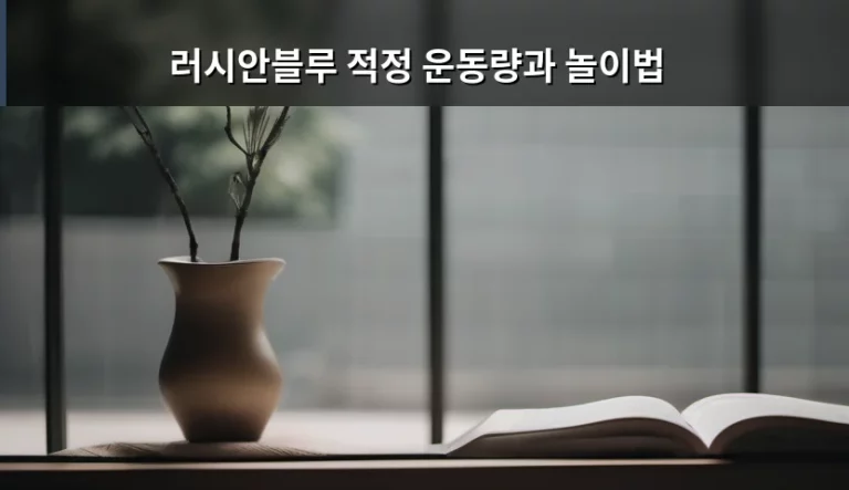 러시안블루 적정 운동량과 놀이법 가이드