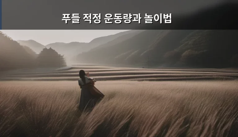 푸들 적정 운동량과 놀이법 가이드