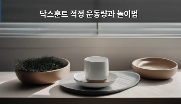닥스훈트 적정 운동량과 놀이법 가이드