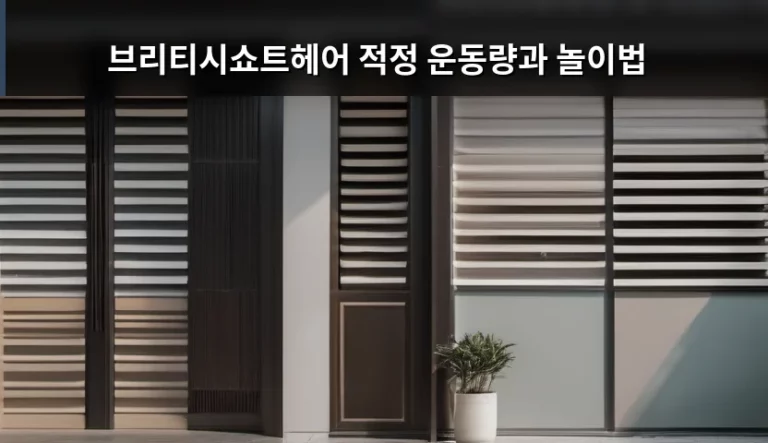 브리티시쇼트헤어 적정 운동량과 놀이법 가이드