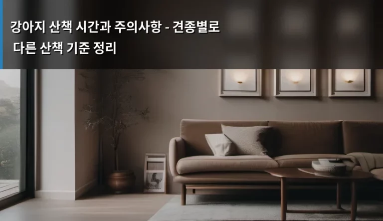 강아지 산책 시간과 주의사항 – 견종별로 다른 산책 기준 정리