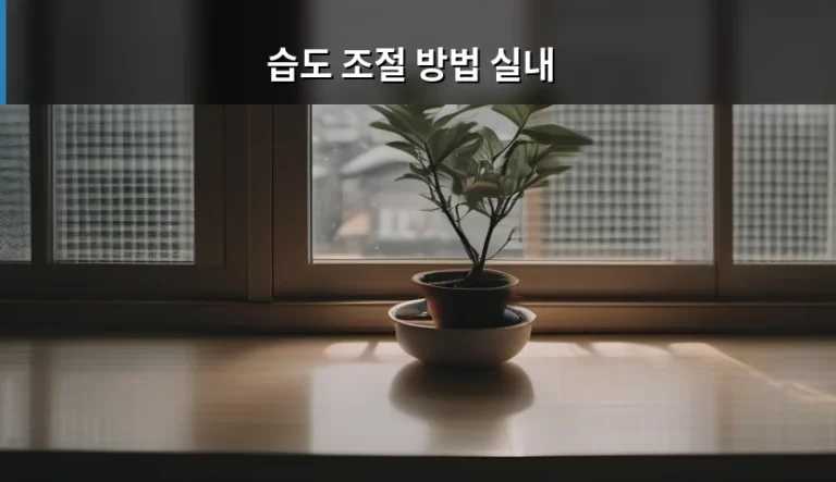 쾌적한 환경을 위한 실내 습도 조절 방법 가이드
