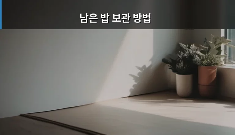 신선함을 유지하는 남은 밥 보관 방법 가이드