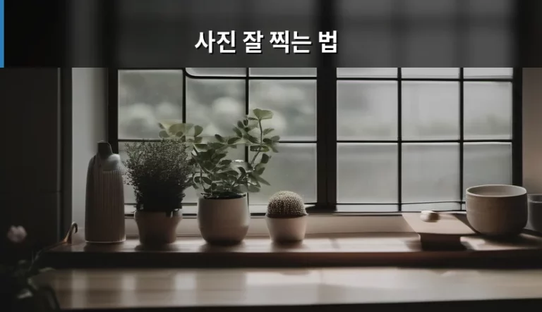 인생샷을 부르는 사진 잘 찍는 법 노하우