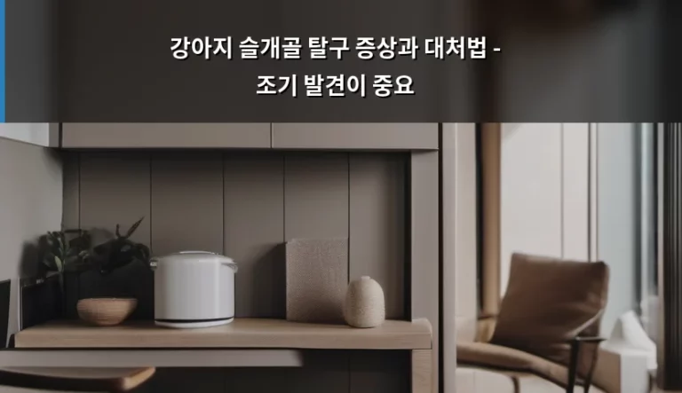 강아지 슬개골 탈구 증상과 대처법 – 조기 발견이 중요