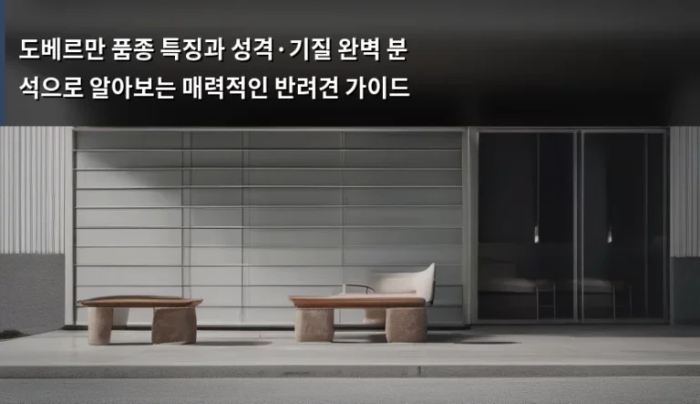 도베르만 품종 특징과 성격·기질 완벽 분석으로 알아보는 매력적인 반려견 가이드