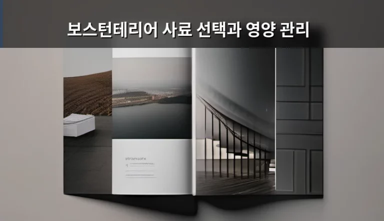 보스턴테리어 사료 선택과 영양 관리, 건강한 성장을 위한 완벽 가이드