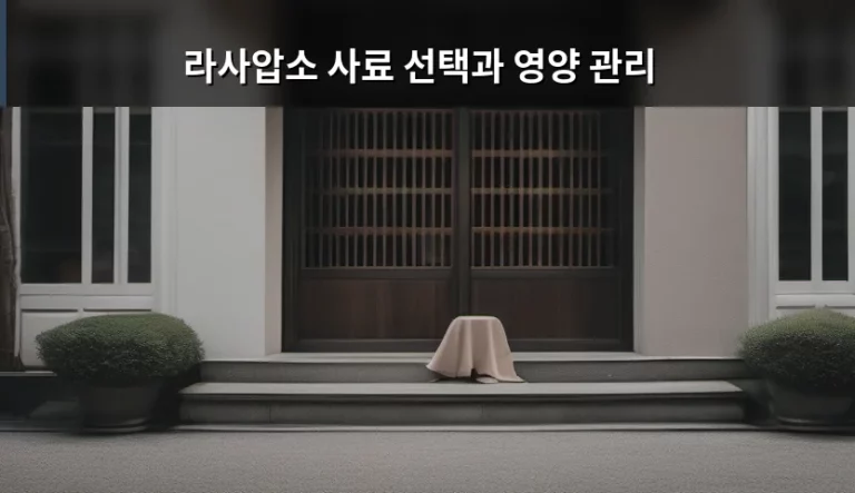 우리 아이 건강을 위한 라사압소 사료 선택과 영양 관리 가이드