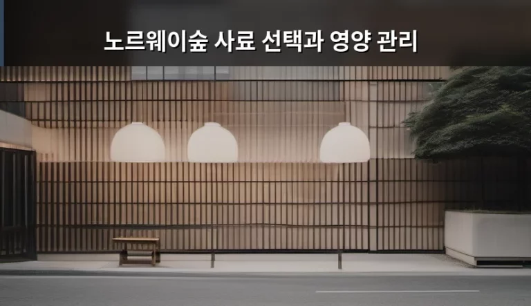 노르웨이숲 사료 선택과 영양 관리, 건강한 털과 근육을 위한 가이드