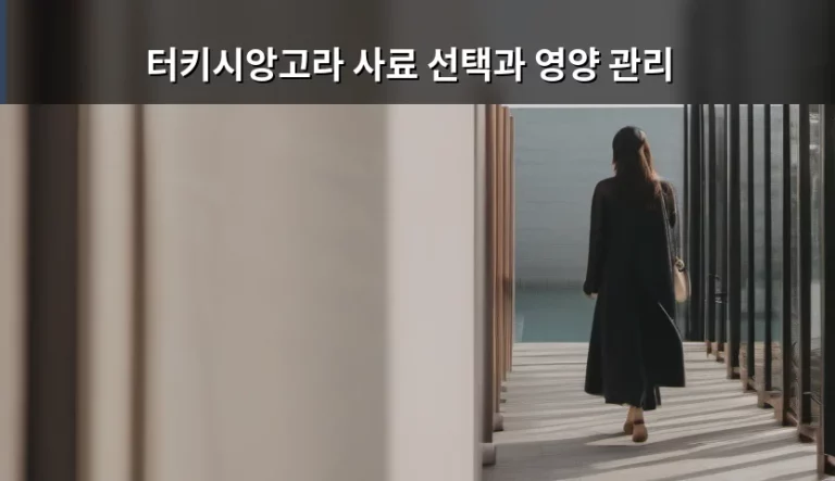 우아한 털결을 유지하는 비결, 터키시앙고라 사료 선택과 영양 관리 가이드