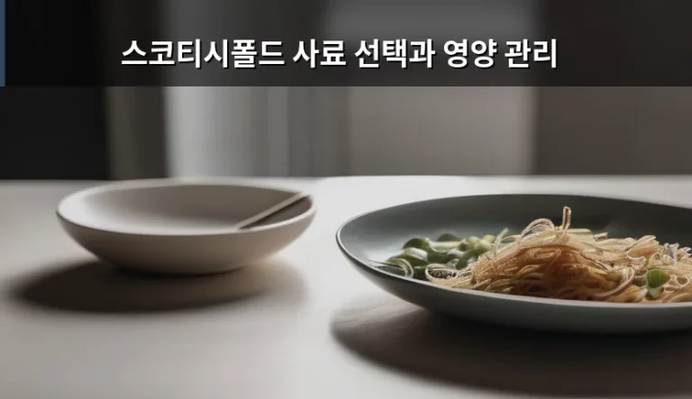 스코티시폴드 사료 선택과 영양 관리 가이드
