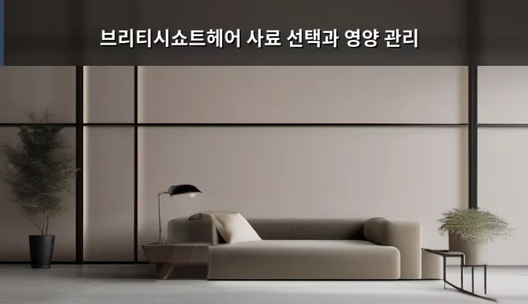 브리티시쇼트헤어 사료 선택과 영양 관리 가이드