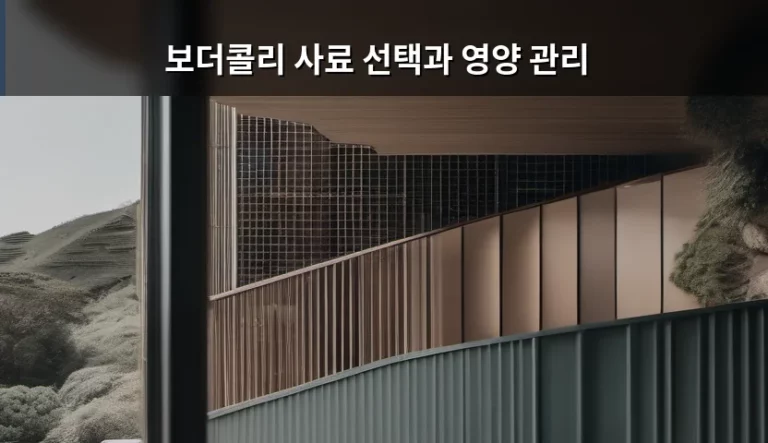 에너지 넘치는 반려견을 위한 보더콜리 사료 선택과 영양 관리 가이드