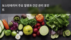 보스턴테리어 건강하게 키우기: 주요 질병과 꼼꼼한 건강 관리 포인트 총정리