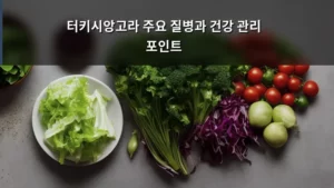 터키시앙고라 품종별 건강하게 키우는 법: 주요 질병과 건강 관리 포인트 총정리
