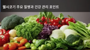 웰시코기 주요 질병과 건강 관리 포인트, 우리 아이 건강 지키는 법